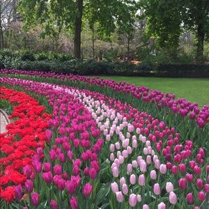 Meet your Posher, Barbara